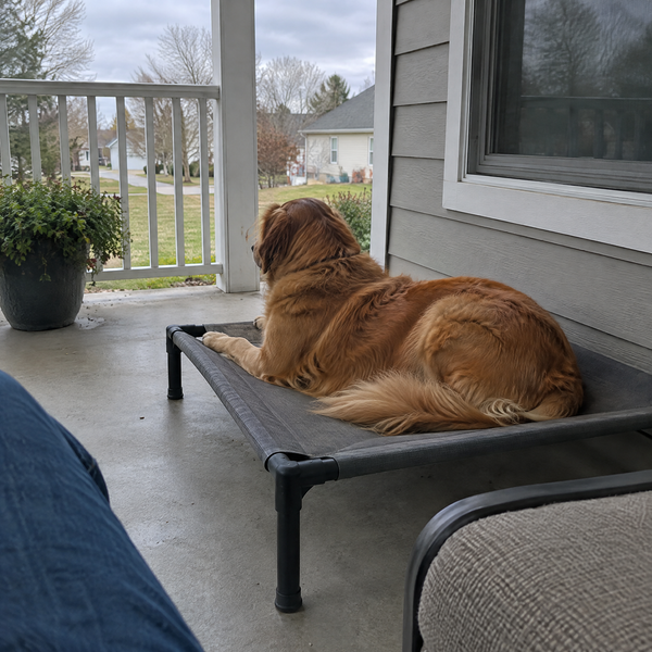 Customer photo: Elevated Pet Bed