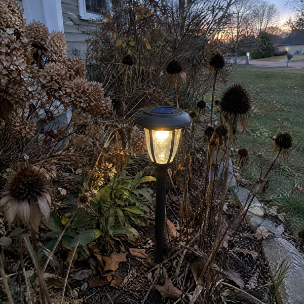 Customer photo: Solar Garden Stake Lights